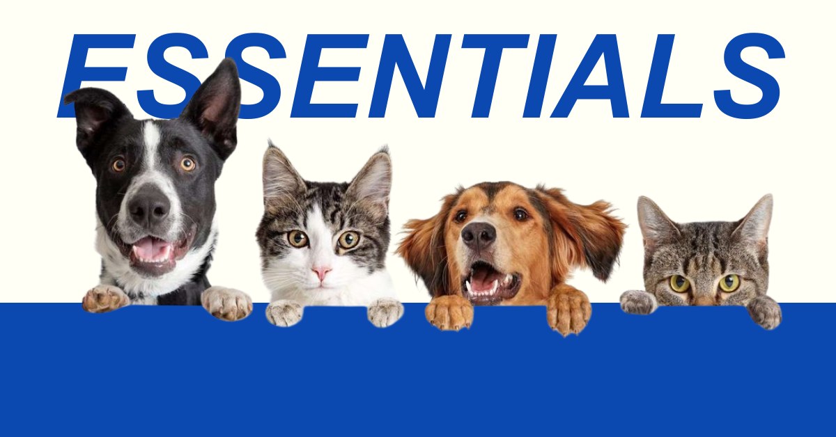Furry Essentials — Furry Essentials — brand campaign